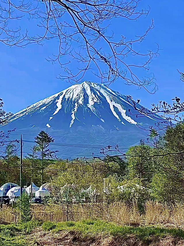 โอซาก้า🇯🇵
