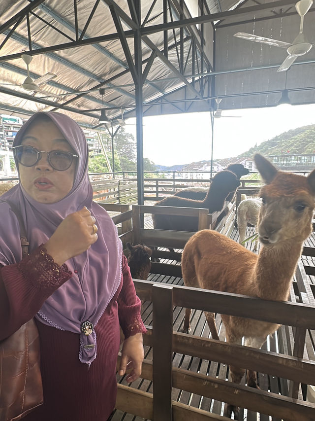 Family bonding @ Cameron Highland