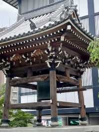 愛知]まるで京都のような竹林と紫陽花のコラボレーション🩵✨