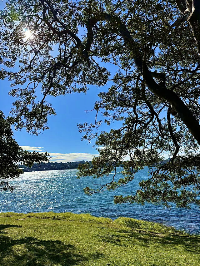 ออสเตรเลีย🇦🇺