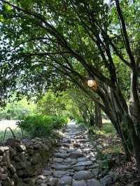 Forest Paths, Temple Vibes, and Total Peace Mode**