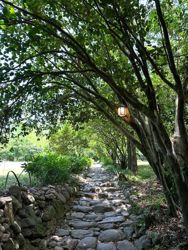 Forest Paths, Temple Vibes, and Total Peace Mode**