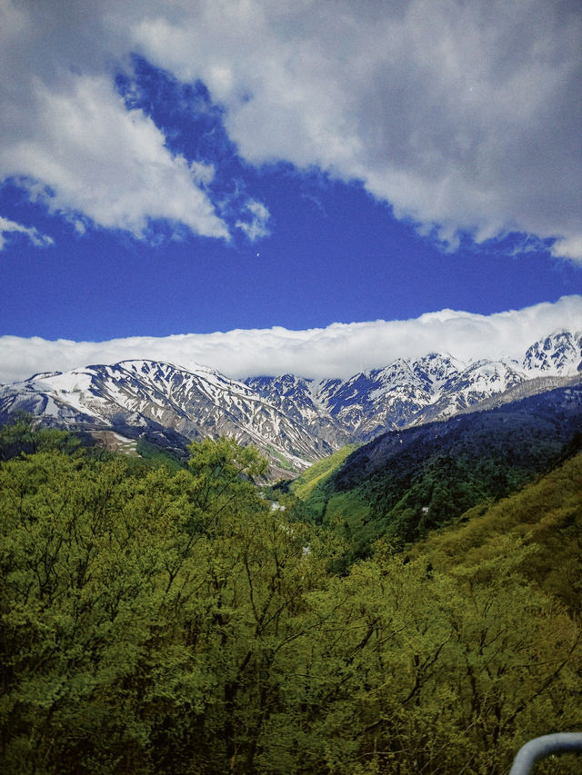 Hakuba IWATAKE Mountain ❤️