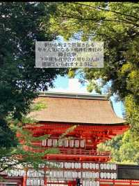 【京都】夏の京都で心と体を清める、下鴨神社の足つけ神事。ご利益と涼を求めて。