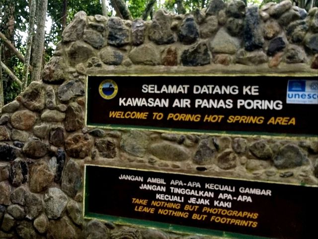 Kundasang's Best: Farm Fun, Rainforest Thrills & Wild Flavors!