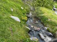 Morning Bliss at Hotel Nolda & Stroll Through St. Moritz Bad