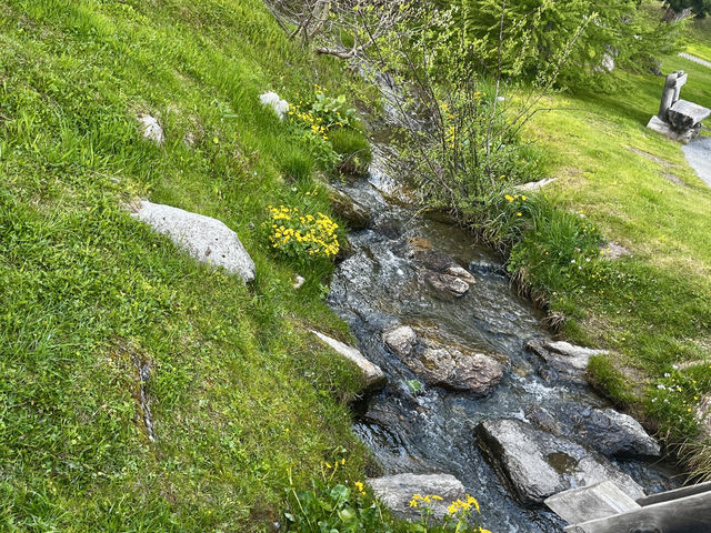 Morning Bliss at Hotel Nolda & Stroll Through St. Moritz Bad