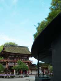 【福岡】梅雨の期間限定の絶景！