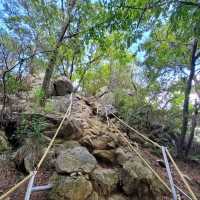 Hidden Gem Feels, Gongjak Mountain 