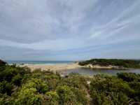 Apollo Bay: A Perfect Summer Getaway on the Great Ocean Road