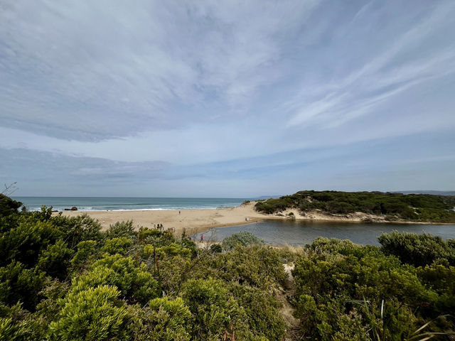 Apollo Bay: A Perfect Summer Getaway on the Great Ocean Road