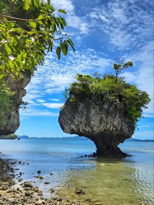 🏝️☀️ Phi Phi Calling! | Cruise to Thailand’s Island Gem 🚤🇹🇭