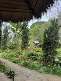 Life Museum CEI🌿