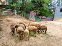 บ้านไร่รัตนคาเฟ่ ban rai rattana cafe 