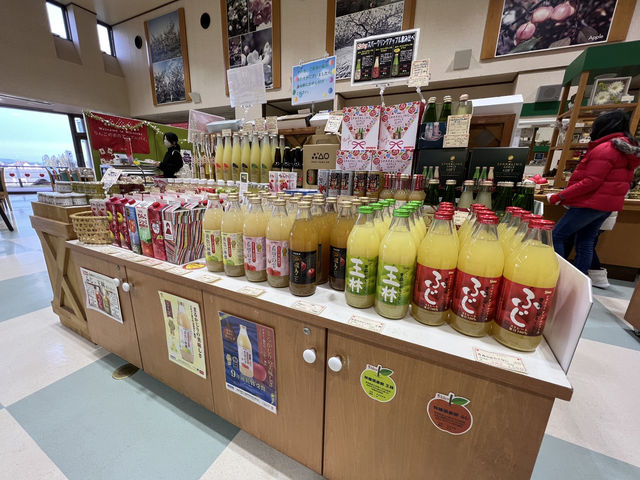 🍎 Apple Wonderland in Hirosaki – A Family Delight!