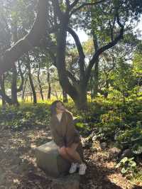 Jeju’s Innisfree Café & Green Tea Fields – A Dreamy Stop for Beauty Lovers and Nature Seekers