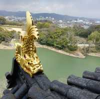 🏯 Okayama Castle – A Peaceful Climb to a Panoramic View