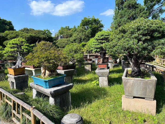 🌸 Lingering Garden 留园 — Grace, Balance & Jiangnan Beauty