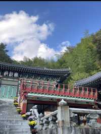 📍 양산 속 비밀 정원, 홍룡폭포에서 여름 한 모금