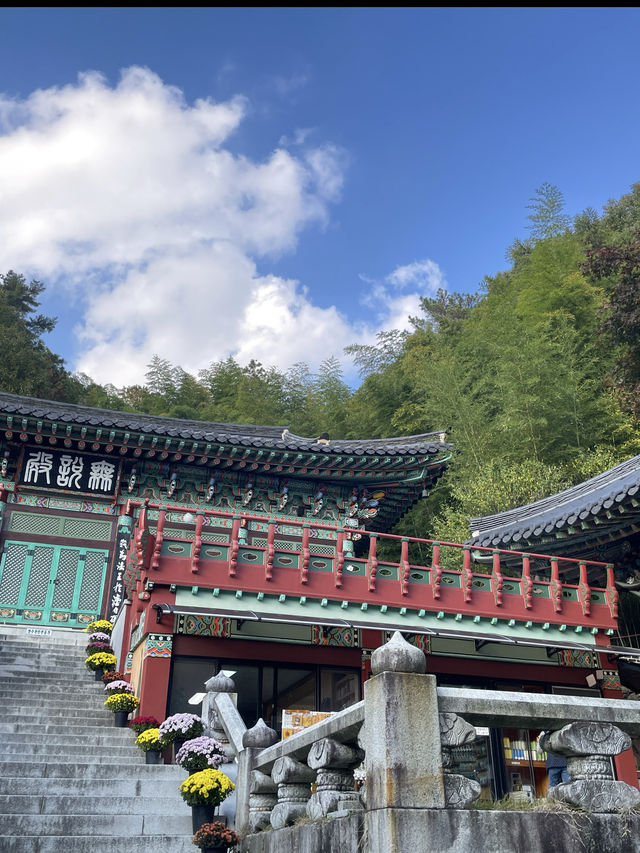 📍 양산 속 비밀 정원, 홍룡폭포에서 여름 한 모금