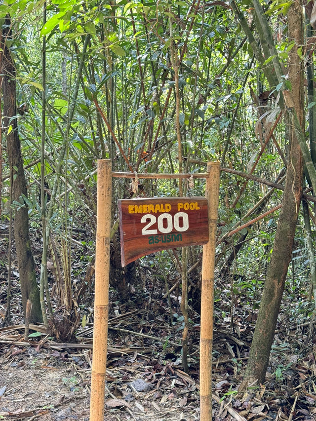 Emerald Pool, Krabi