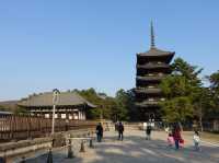 🛕 Peace and Presence at Kōfuku-ji, Nara
