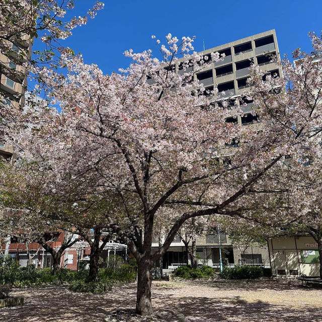 Nambanaka Park