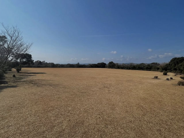 【静寂と絶景の出会い🌄春雨展望台で心を整える旅】