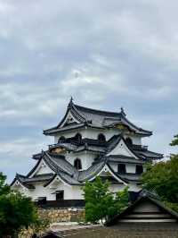 【国宝・彦根城でタイムスリップ体験🏯】ひこにゃんにも会えるかも⁉️