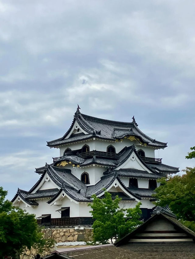 【国宝・彦根城でタイムスリップ体験🏯】ひこにゃんにも会えるかも⁉️
