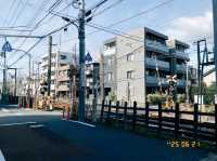高cp值東京行程分享-day3