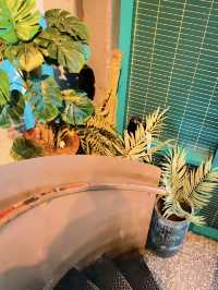 Malaya Garden: Secret Tropical Oasis in KL’s Chinatown