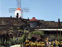 Lanzarote: Hitting Must-See Spots by Public Transport! 🚌🌋
