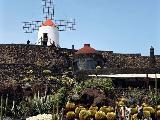 Lanzarote: Hitting Must-See Spots by Public Transport! 🚌🌋