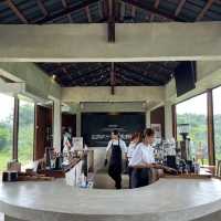 TASANA changmai