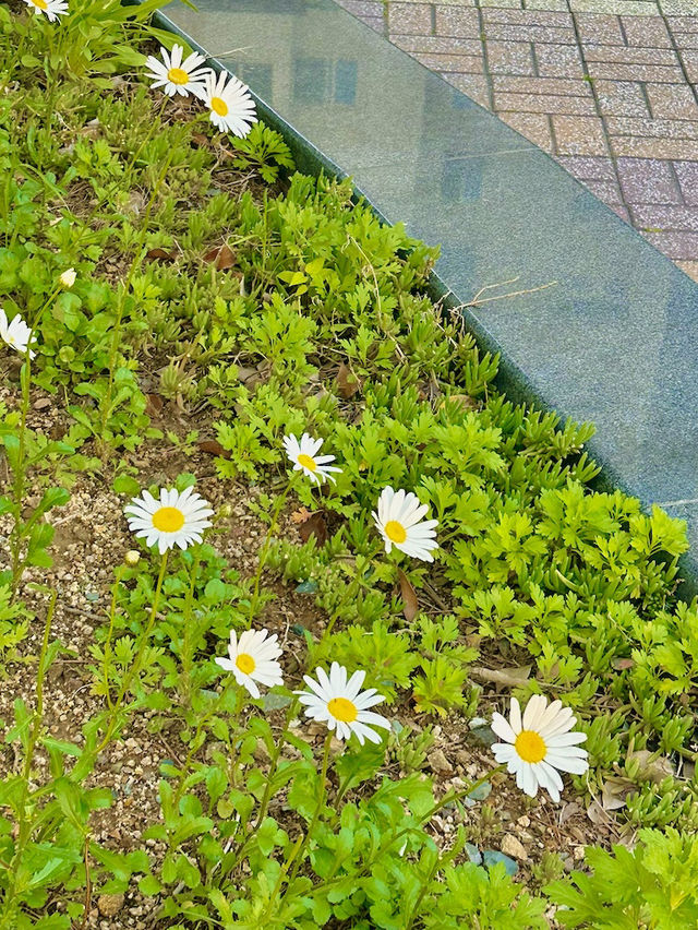 한국가이드 | 양산에서 하루 소확행 🍜🌳