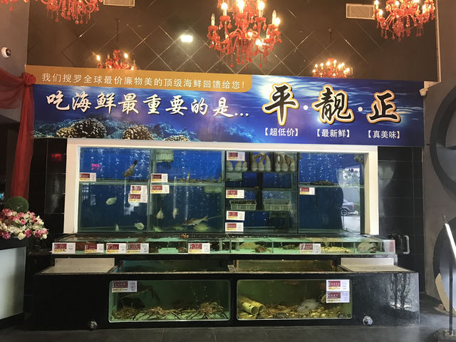 🥢 Clean, Classy & Delicious – Dim Sum Delight at Restaurant Loon Sing