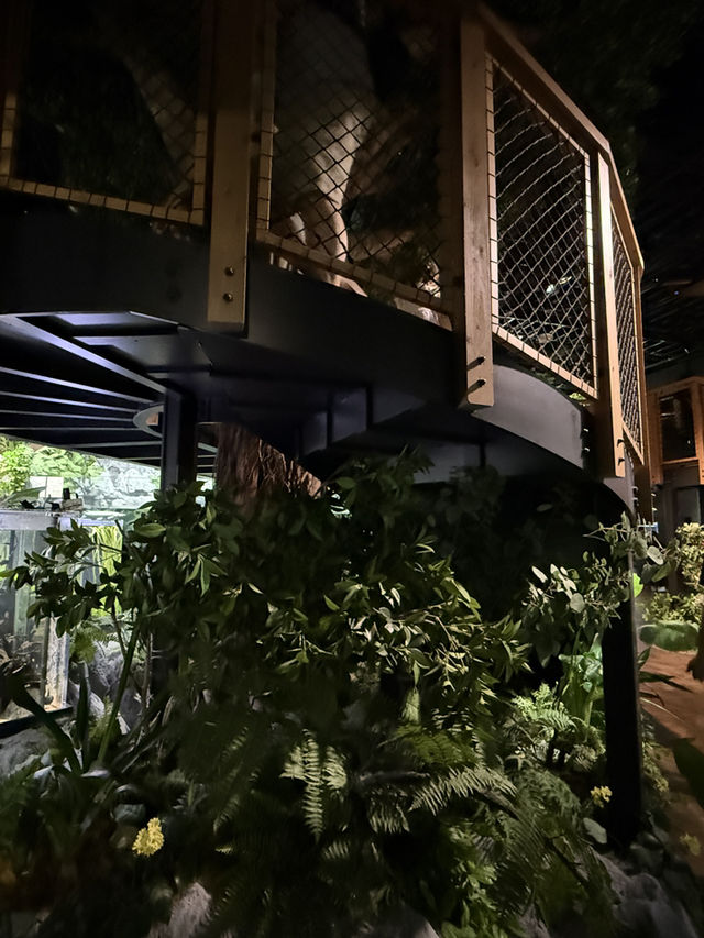 沖繩最新商場水族館🫶🏻DMM🫡超岩親子遊