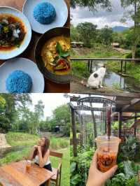 Montra Cafe ไร่วังบอน คาเฟ่ลับกลางป่า ฟีลดี 