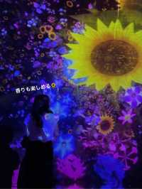 🌌チームラボTOKYOで全身アート体験✨