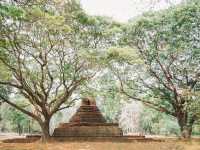 อุทยานเมืองเก่าพิจิตร  (จังหวัด พิจิตร)