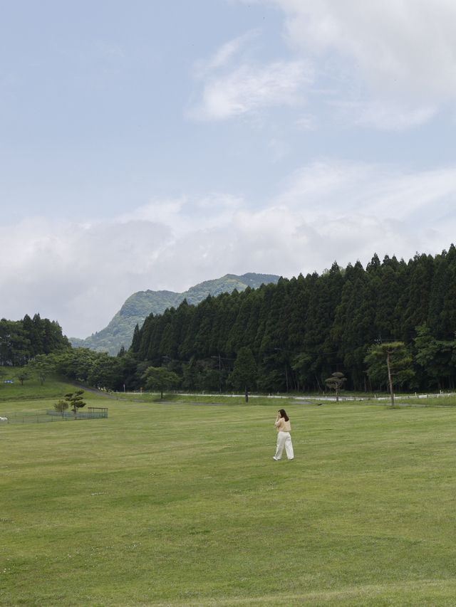 熊本風光盡收眼底：單車一日遊的完美指南