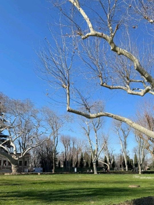 Lost in Istanbul: The City That Never Stops Telling Stories