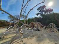 หาดแสม เกาะล้าน