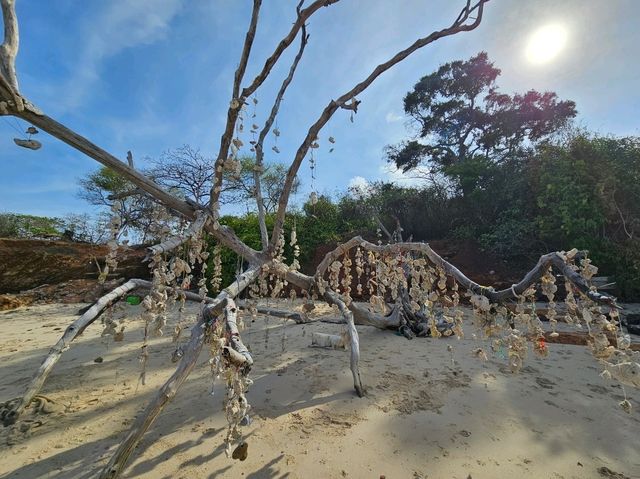 หาดแสม เกาะล้าน