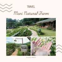 Mori Natural Farm เชียงใหม่ 🌿🏡