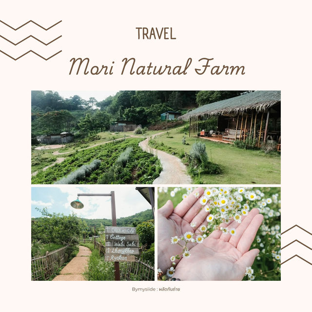 Mori Natural Farm เชียงใหม่ 🌿🏡
