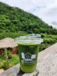 Baan Khaofare The Farm Eatery & Coffee🍃🍵