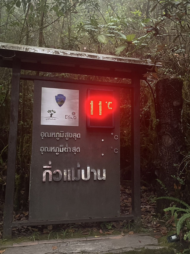 กิ่วแม่ปาน วิวสวยคุ้มค่าเหนื่อยแน่นอน⛰️🌳
