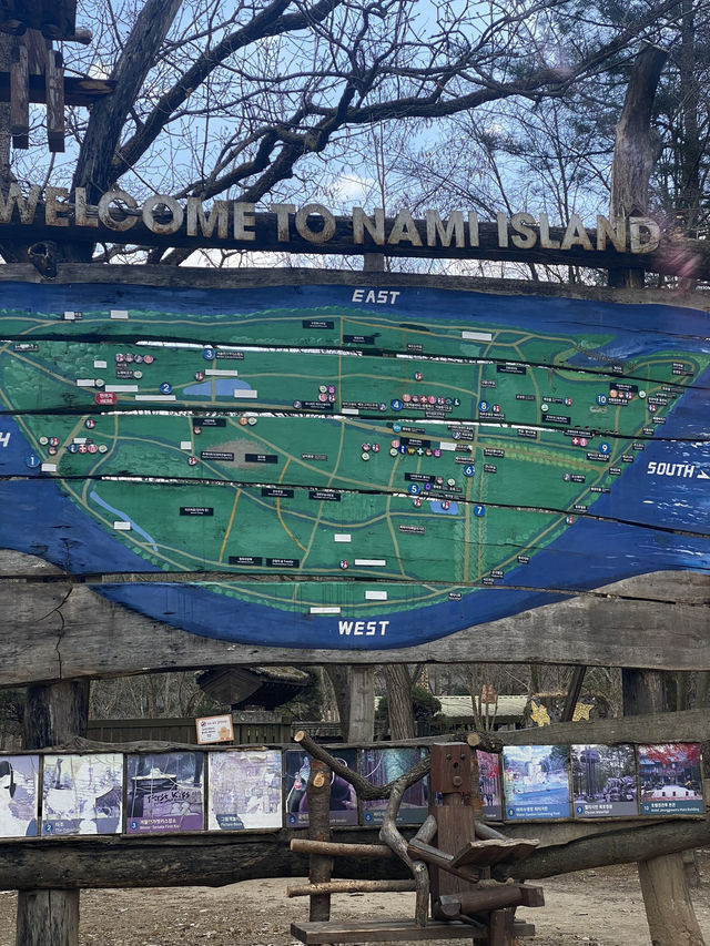 🌿 Nami Island ~ Where Nature Feels Like a Poem 🍂